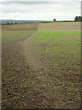 SK5835 : Footpath on Wilford Hill by Alan Murray-Rust