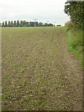 SK5835 : Footpath on Wilford Hill by Alan Murray-Rust