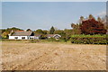 Wheat stubble, Damerham, Hampshire