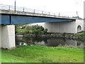 Bridge over Tawe river and paths