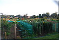 Allotments, Canterbury