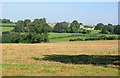 2008 : North from Kitley Hill