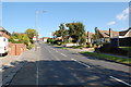 Looking up Harrow Lane