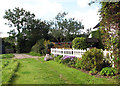 Path past cottage garden