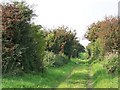 Byway, Homington Down