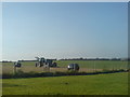 Bagging the hay