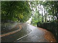 SE0318 : Dyson Lane - Oldham Road, Rishworth by Betty Longbottom