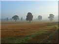 Farmland, Temple