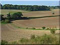 SU8196 : Farmland, Slough Bottom by Andrew Smith