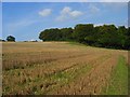 Farmland, Piddington