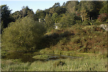 NY3406 : Small tarn at White Moss Common by Tom Richardson