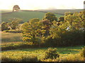 View from kitchen window of Shute Gatehouse