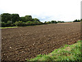 Cultivated field