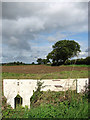 Field beside Swanton Road