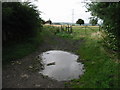 View along a byway to North Lyminge