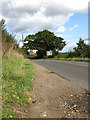 View along the B1110 (Dereham Road)