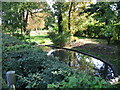 The pond in Nonington