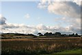 Rushes towards Sheilhill.