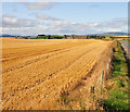 Northside Farm across stubblefield