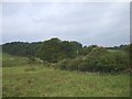 View opposite track to Salterhill Farm