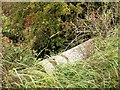 Stream at Beck Bottom