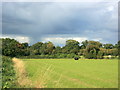 2008 : Farmland near Chippenham