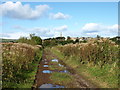 Farm Track, Dalry