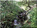 The Nant Du from the bridge, Glyncorrwg