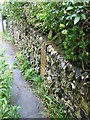 Walled footpath from The Row