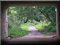 Cycleway from beneath the bridge