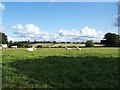 Looking Towards Codsall Church