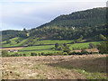 Field near Marlbrook Hall