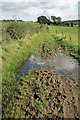 A farm track near Stonepark