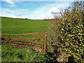 Rusty Gate Post