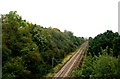 View from Bridge DOL2-13 - Potovens Lane