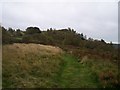 Tumbling Hill on a blustery Saturday afternoon