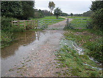 SX9390 : Flooded path, near Double locks by Roger Cornfoot