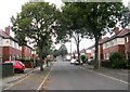 Walker Avenue viewed from Silcoates Street