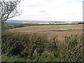 Oxcroft Lane - Farmland View