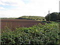 Whaley Road view towards Poulter Country Park