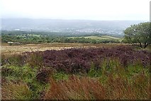 SO0104 : South-western slope of Mynydd Aberdare by Graham Horn