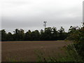 Farmland and radio mast near Dotterell Hall