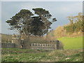 The entrance to Caerhays Castle