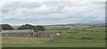 Sheep grazing below the farm buildings at Eirianallt-goch