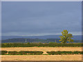 Farmland near Greystoke