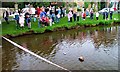 Boat Race, River Leven