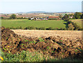 Across the valley of the Llanerch Brook