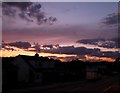 Bysing Wood Road, Faversham at sunset