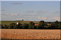 Evening sun on the cornfields by Saxton, North Yorkshire