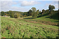 Pasture near Branston